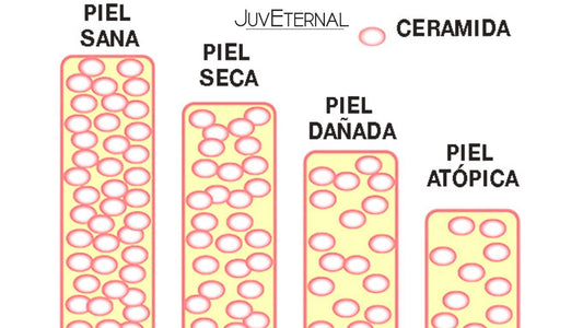 Ceramidas para Principiantes: Todo lo que Debes Saber para Cuidar tu Piel